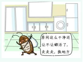 卡通蟑螂.jpg